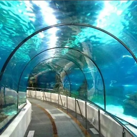 Lacatorce ベナルマデナ