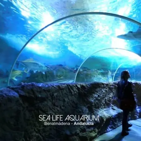 アパート Lacatorce ベナルマデナ